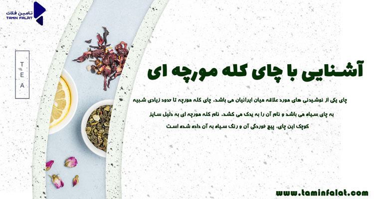 آشنایی با چای کله مورچه ای 